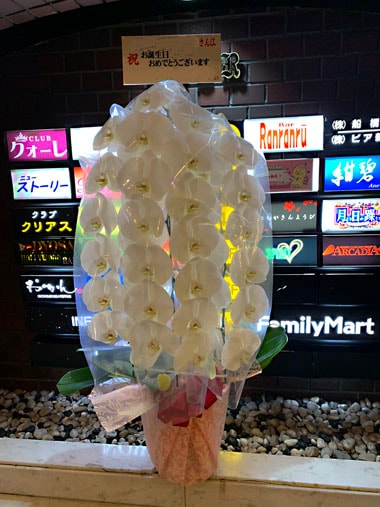 胡蝶蘭白3本立｜お届け一覧｜むつ美花店