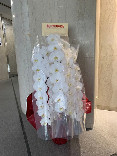 胡蝶蘭白3本立｜すべての商品｜むつ美花店