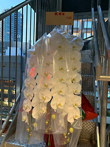 胡蝶蘭白3本立｜すべての商品｜むつ美花店