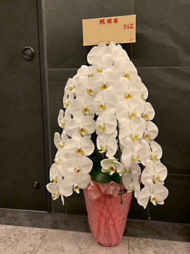 胡蝶蘭白3本立｜すべての商品｜むつ美花店