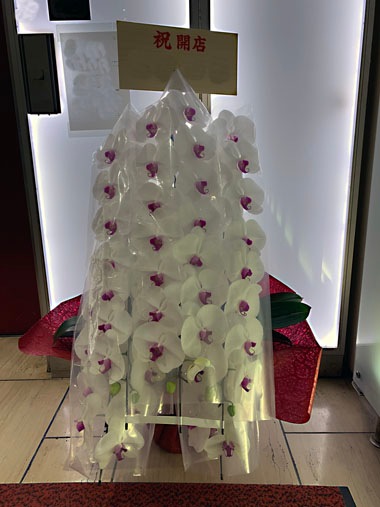 胡蝶蘭赤白5本立｜すべての商品｜むつ美花店