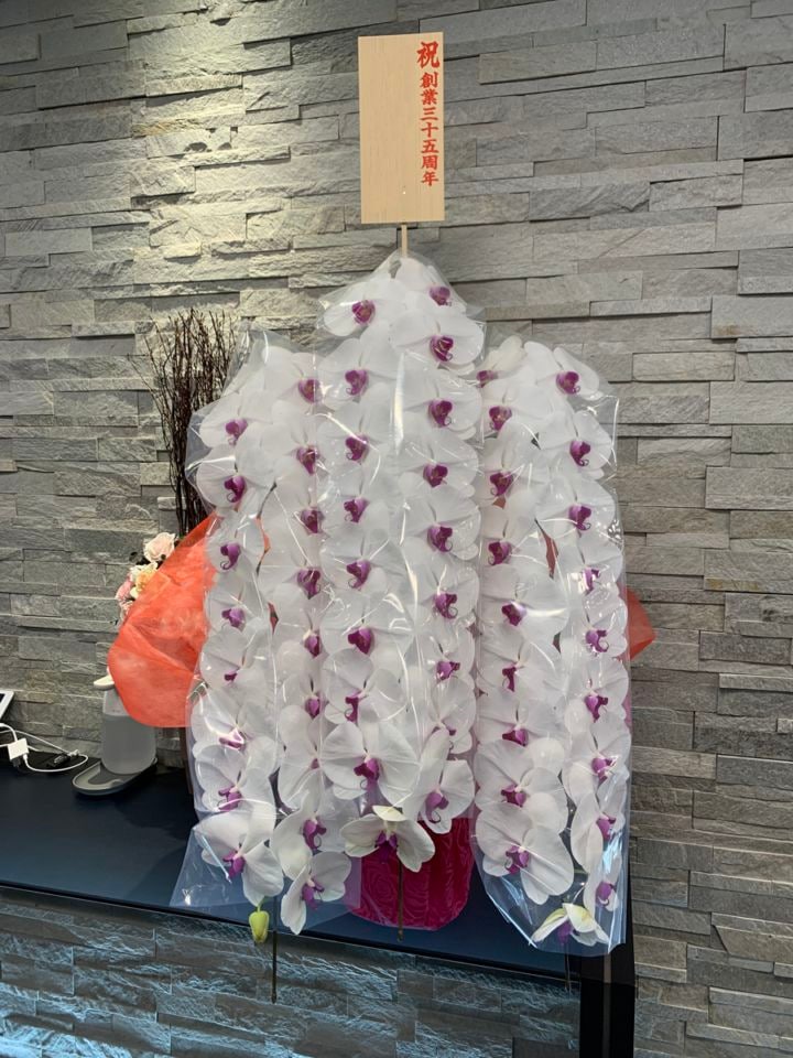 胡蝶蘭赤白３本立｜すべての商品｜むつ美花店