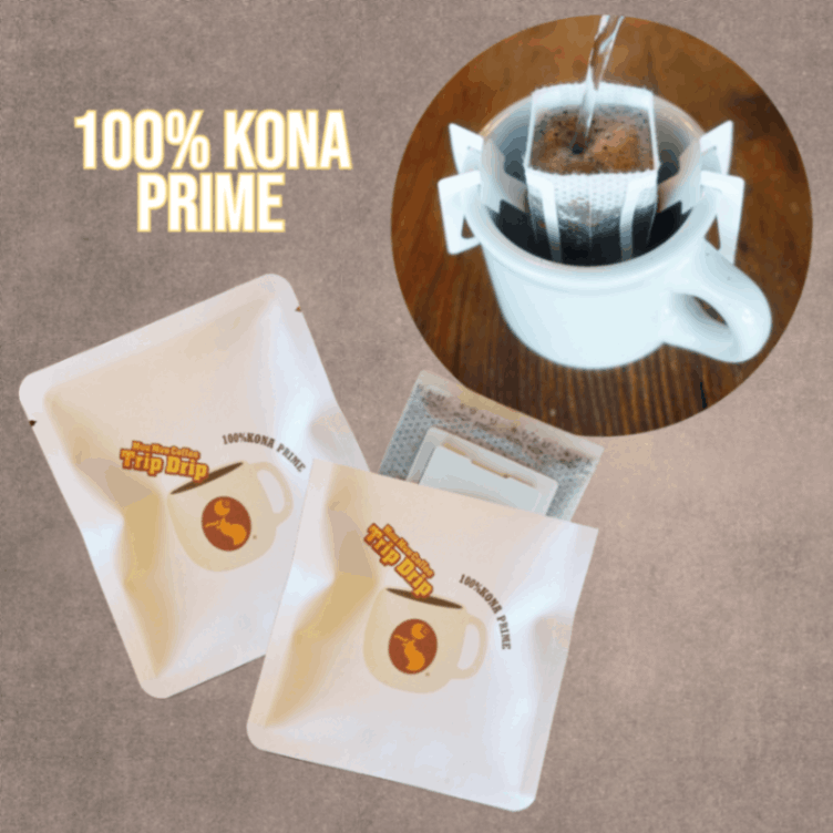 ȥåץɥåסڥץ饤10