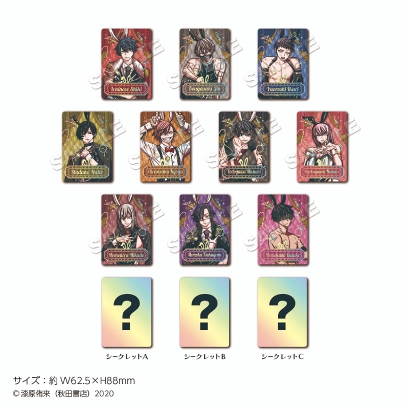 ̡ŵץȥ졼ǥ󥰥Collection vol.2 Bunny BOX(13)