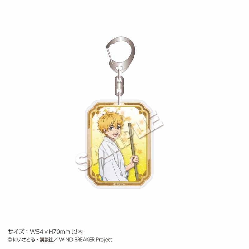 WIND BREAKERץ륭ۥ ǯ  ɧ