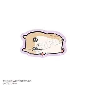 ֥ϥץƥå ӥϥಣ | ˥ ॰å ᡼ľ ޥ륪饤󥷥å