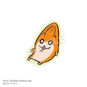 ֥ϥץƥå ϥΤӤƬ | ˥ ॰å ᡼ľ ޥ륪饤󥷥å