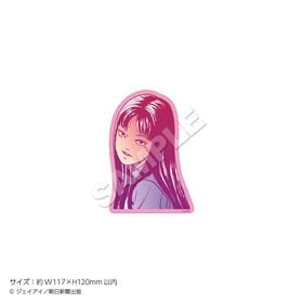 12ܤϤͽۡٹץåȥƥå ܽ | ˥ ॰å ᡼ľ ޥ륪饤󥷥å