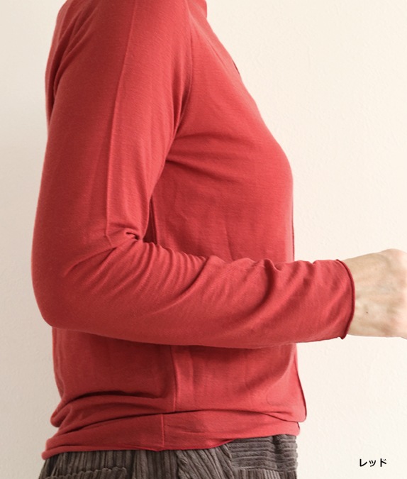 ڿɲáۥϥܥȥץ륪С