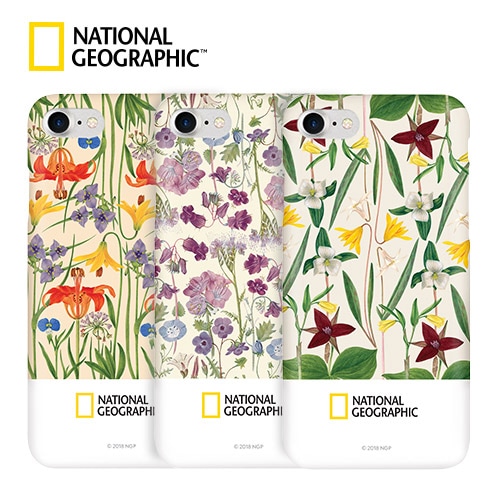 【訳あり アウトレット】 iPhone SE (第3世代) ケース カバー National Geographic Flower Frame Style Case Slim Fit [iPhone SE3/SE2/8/7]