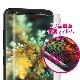 araree PURE DIAMOND【Galaxy S10 S10+ 全画面保護フィルム】  3D立体カーブフィルムで曲面保護 0.12mm Galaxy S10 | S10+ |  S9 | S9+ | S8 | S8+