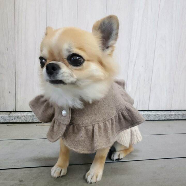 MyCASHMERE マイカシミヤ ショートケープ MyCASHMERE マイカシミヤ