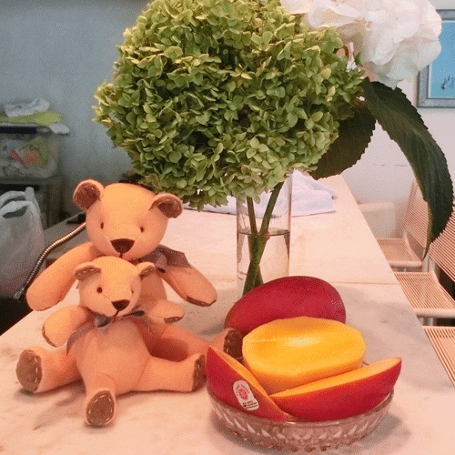 ��饫���ߥ����ƥǥ��٥���ͥ��������󥸿��Υޥ󥴡������åɥ٥���24cm��