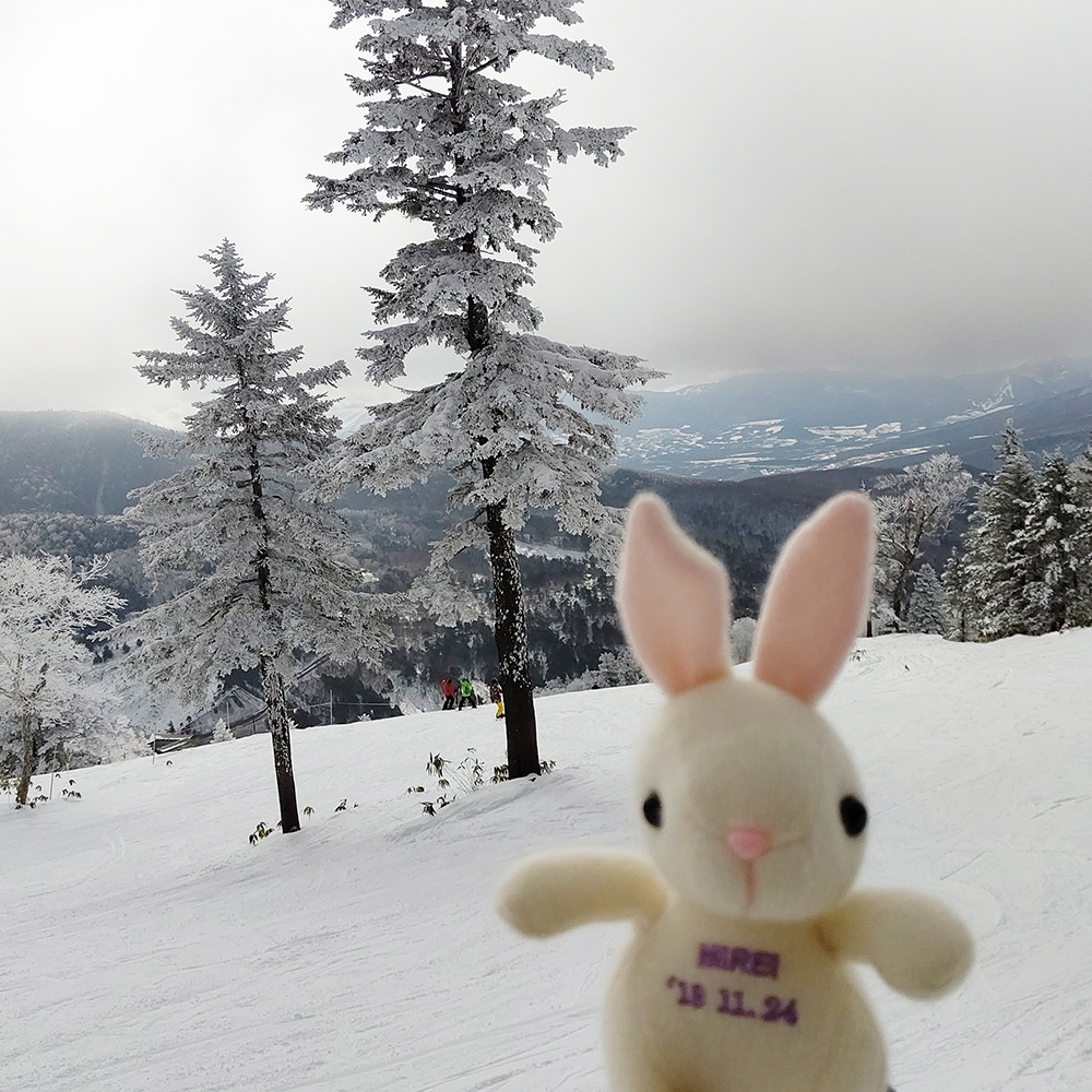 饫ߥ100%դäդ MIREI Хˡʻɤ夦ʤˡ13cm