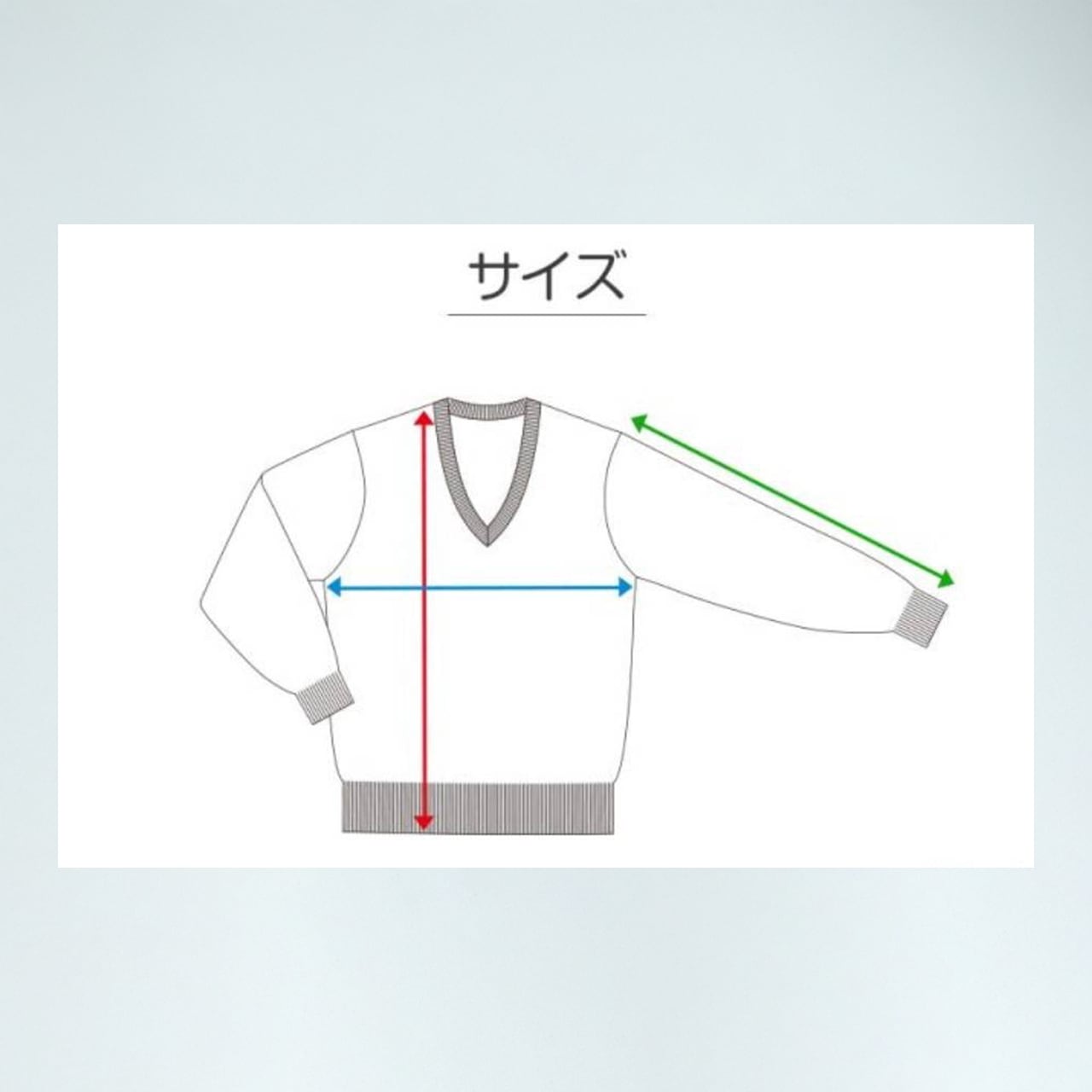 �����Ǵ����ʥ٥ӡ������ߥ�100�󡡥��V�ͥå��������� �����뿧 L������������桧��64cm��