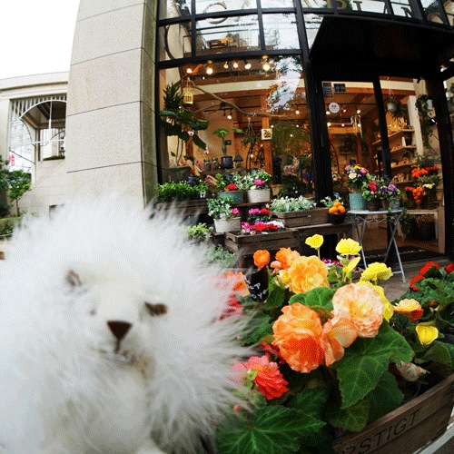 ��饫���ߥ����Υ����ƥ����ȡ��٥������饭��դ�äդ����ޤȤä�������̡��ݡ��顼���ߥ˥٥���12cm��