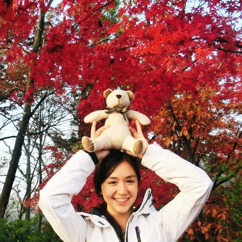 饫ߥƥǥ٥ե졦١忧Υѥѥ٥30cm