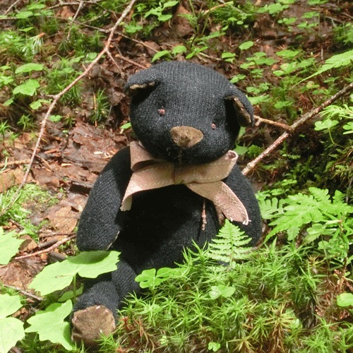 ��饫���ߥ����ƥǥ��٥������ɿ��Υ��ܥˡ������åɥ٥���24cm��