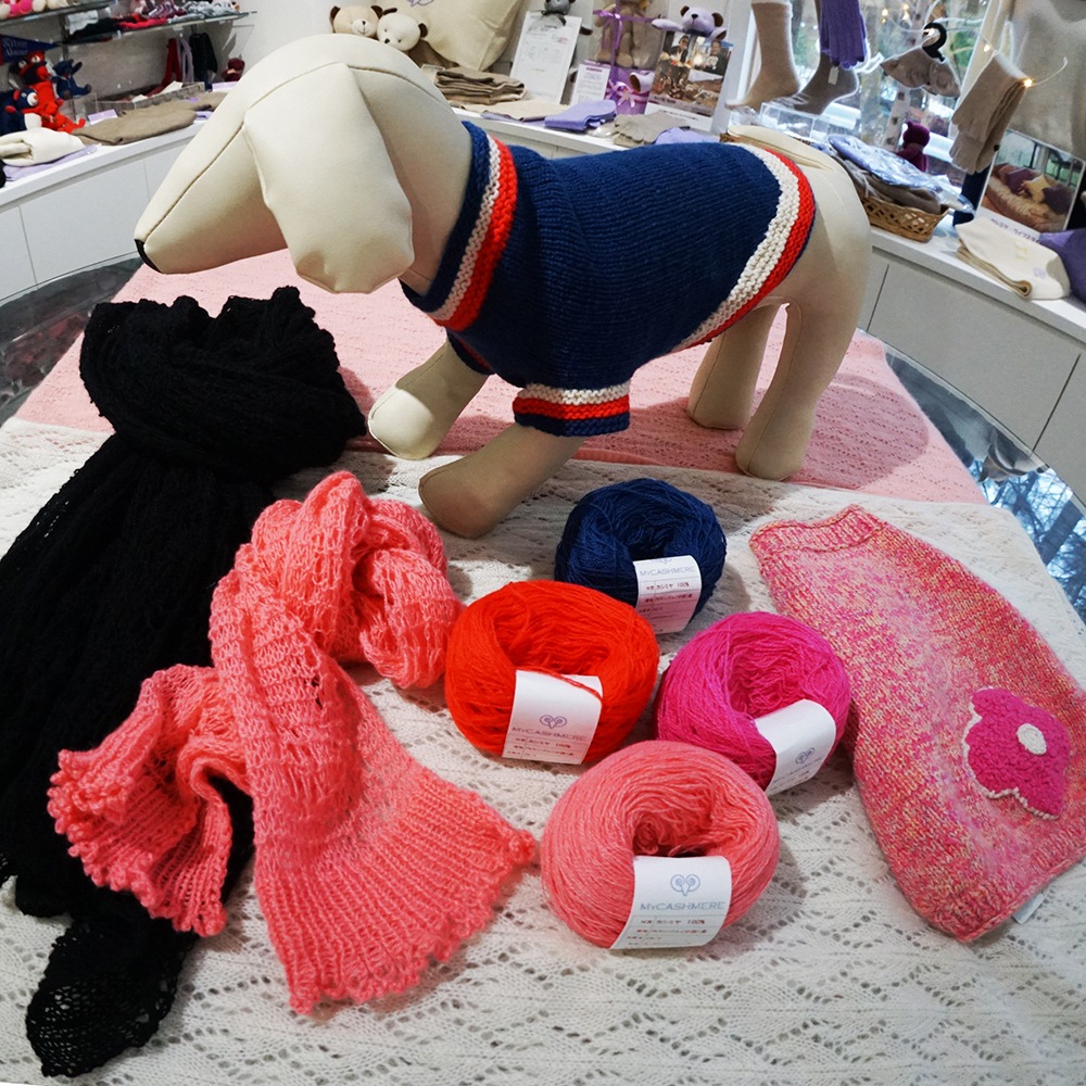 ߥ100ӻ ѡץ뿧 (20g)