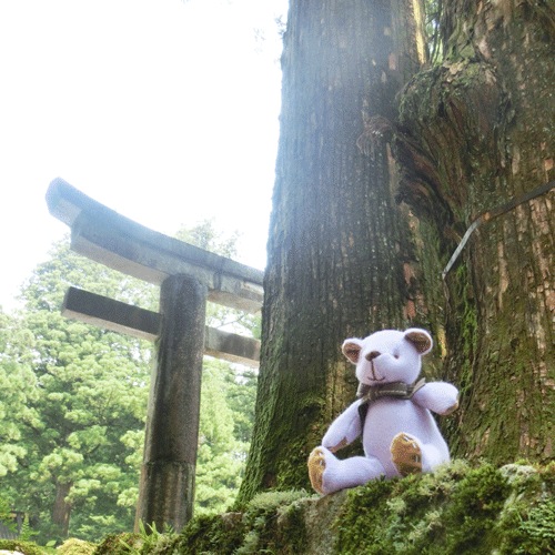 ��饫���ߥ����٥ӡ����ƥǥ��٥�����٥�������Υ�顦�٥ӡ��٥��ʡ֥��ߤˤ����ʤ��ץ�����̿��Υ��ߥ�����ˡ�15cm��