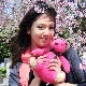 饫ߥƥǥ٥ۥåȥԥ󥯿Υե塼ѥѥ٥30cm