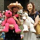 饫ߥƥǥ٥ۥåȥԥ󥯿Υե塼㡦㥤ȥ٥60cm