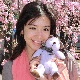 ��������٥�������������ߥ�Υ�顦���åɥ٥�����Ĺ����cm��