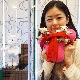 ��饫���ߥ�100%��嫷�ӥϡ��ȡ����å����ȥϡ��ȡ��ߥ˥٥������åץ��12cm��
