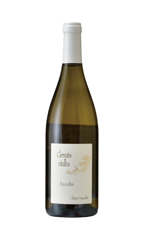 アンリ・ノーダン-フェラン　ブルゴーニュ オート・コート・ド・ニュイ クレマティス ブラン　2019