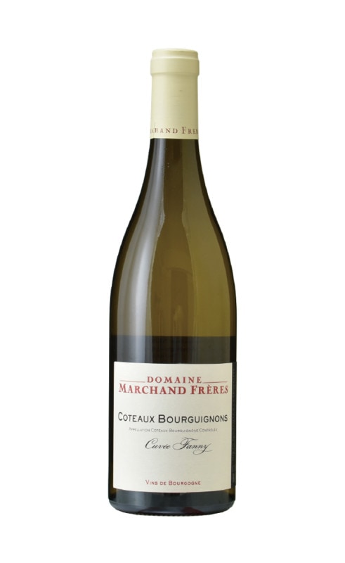 マルシャン・フレール　コトー・ブルギニヨン ブラン キュヴェ・ファニ　2021