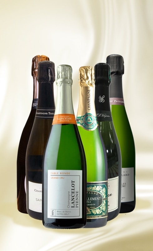 人気生産者 特選シャンパーニュ 6本セット　