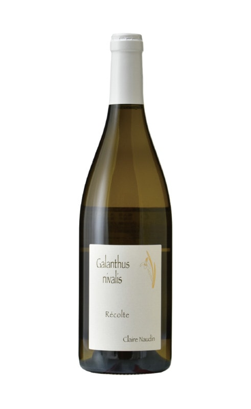 アンリ・ノーダン-フェラン　ガランテュス・ニヴァリス　ブラン　2020