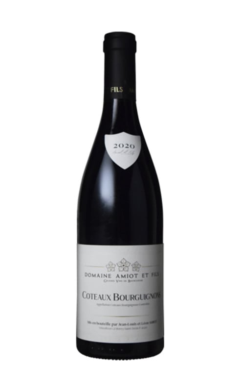 ドメ－ヌ・アミオ・エ・フィス　コト－・ブルギニヨン　赤　2020