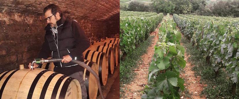 ベルナール・ボナン ムルソー ランコントル 2021 | 産地から選ぶ