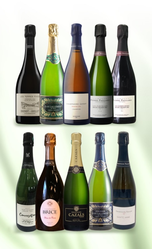 サヴァール ルーヴェルチュールを含む人気生産者のシャンパン10本セット　数量限定販売