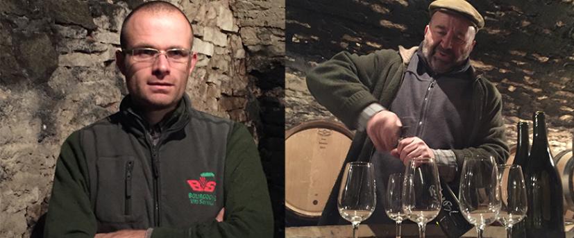 ピエール　ボワッソン　ブルゴーニュ　ブラン（アンヌ　ボワッソン）　2020詳細画像イメージ