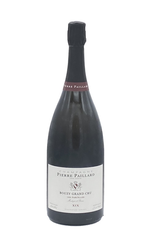 ピエール・パイヤール　レ・パルセル　マグナム　NV　