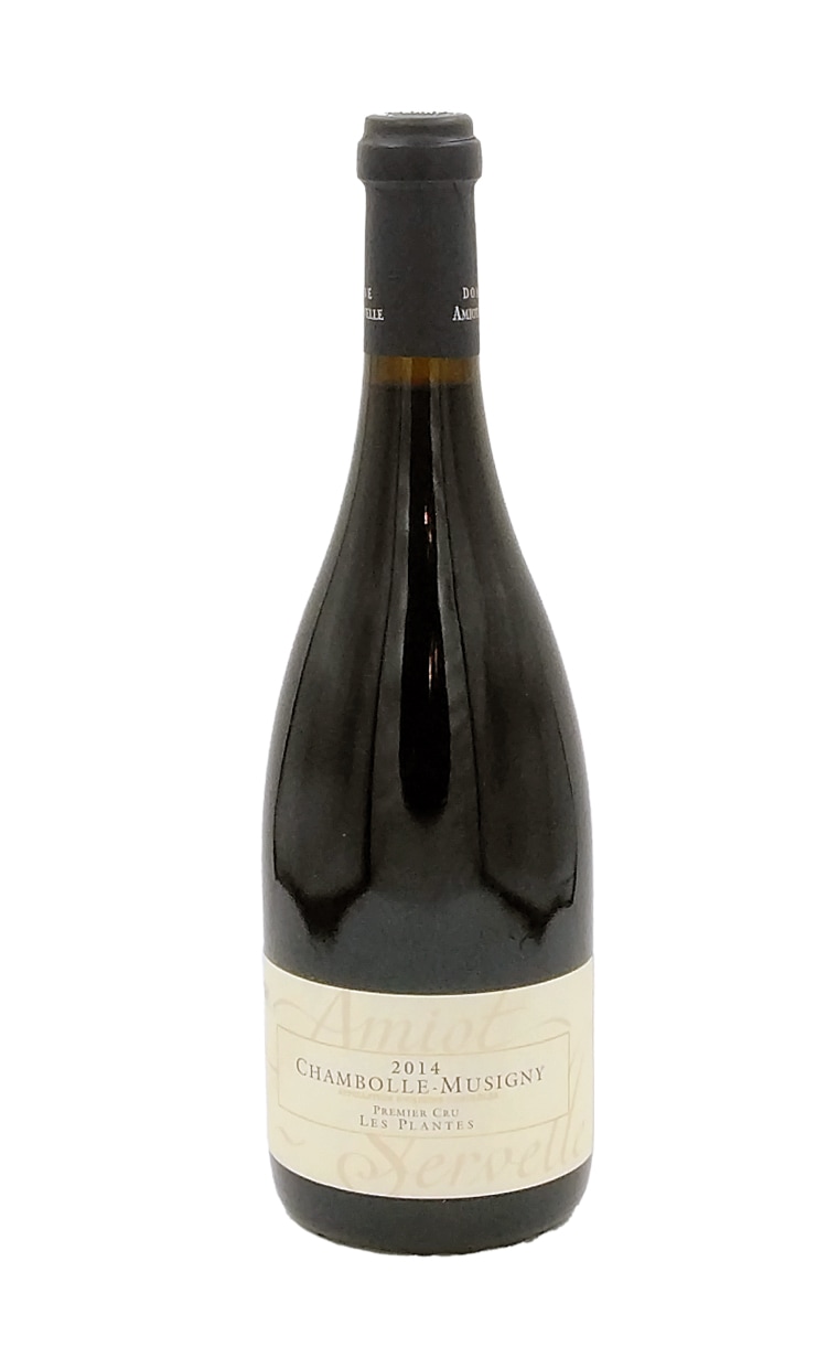 アミオ・セルヴェル シャンボール・ミュジニー プラント 2014 | 産地