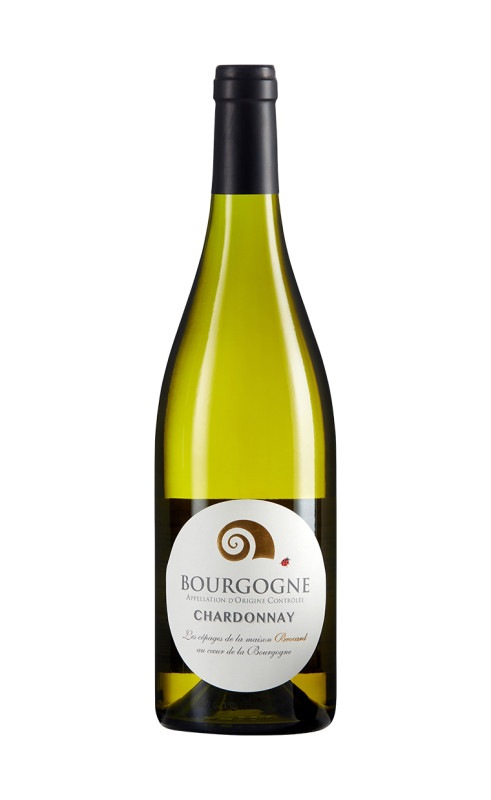 ジャン・マルク・ブロカール　ブルゴーニュ　ブラン (ビオディナミ)　2022