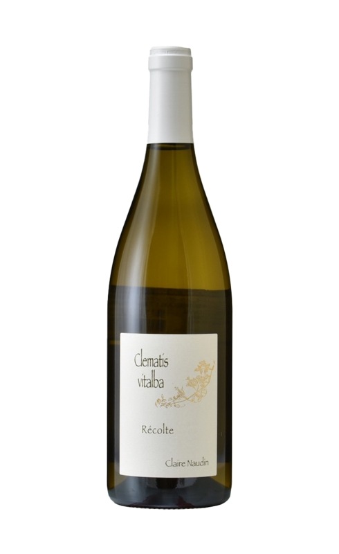 アンリ・ノーダン-フェラン　ブルゴーニュ　オート・コート・ド・ニュイ　クレマティス　ブラン　2021