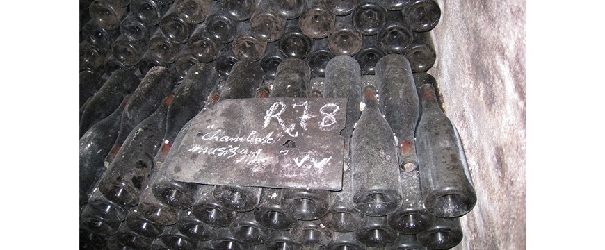 ドメーヌ・ルイ・レミー　モレ・サン・ドニ　プルミエ・クリュ　クロ・デ・ゾルム　2011詳細画像イメージ