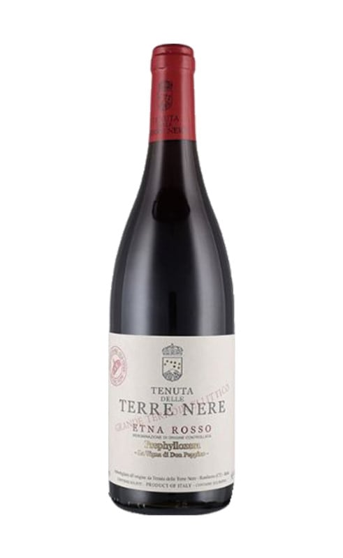 テッレ・ネーレ　エトナ・ロッソ　プレフィロキセラ　2022