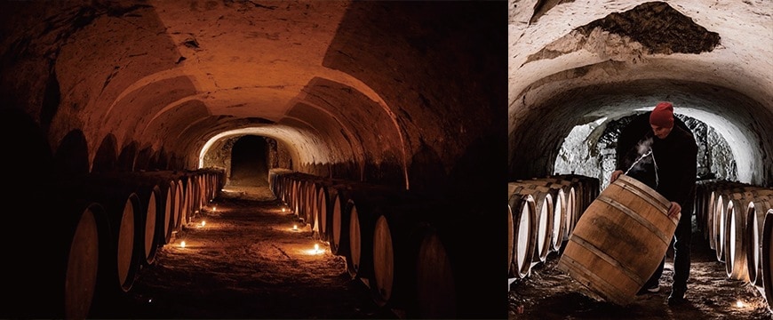 カゼ・ティボー　クレイエール　NV詳細画像イメージ