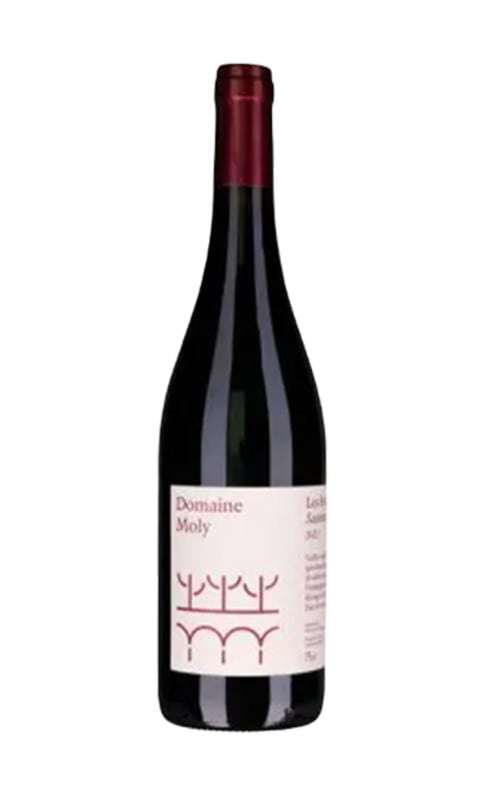 モリー　ソーミュール　ルージュ・ラ・ノマド　2022