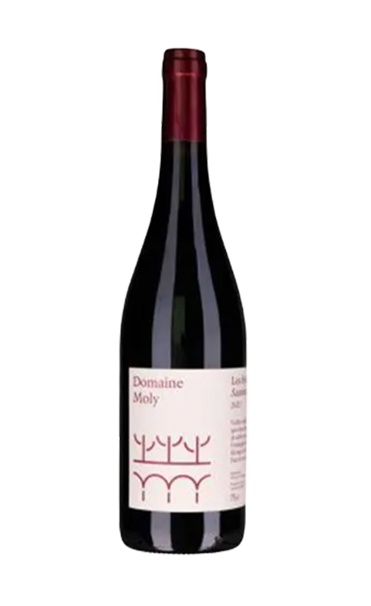 モリー　ソーミュール　ルージュ・ラ・ノマド　2022