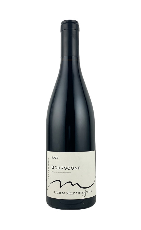 リュシアン・ミュザール　ブルゴーニュ　ルージュ　2023