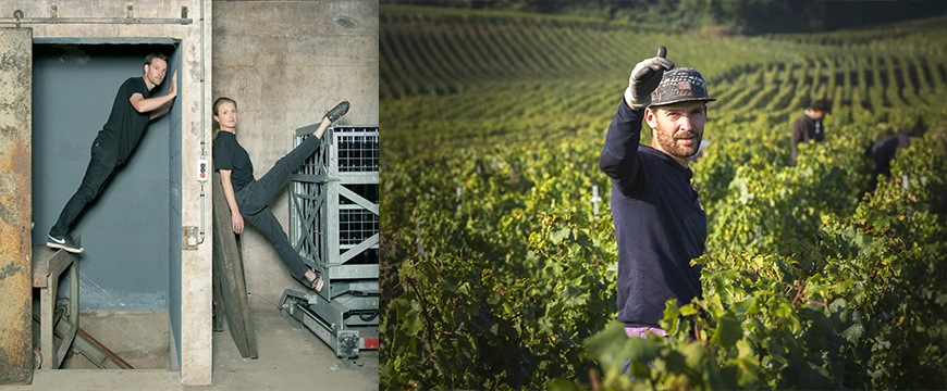 オーロール・カサノヴァ　ピュイジュー　レ・プティット・ヴィーニュ　シャルドネ　NV詳細画像イメージ