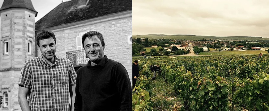 ランクロ　シャブリ　プルミエ・クリュ　フルショーム　2023詳細画像イメージ