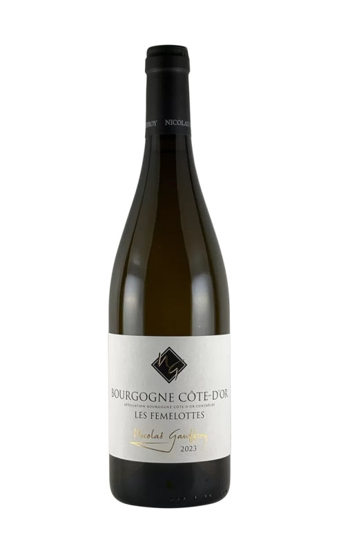 ニコラ・ゴーフロワ　ブルゴーニュ・コート・ドール　ブラン・フェメロット　2023