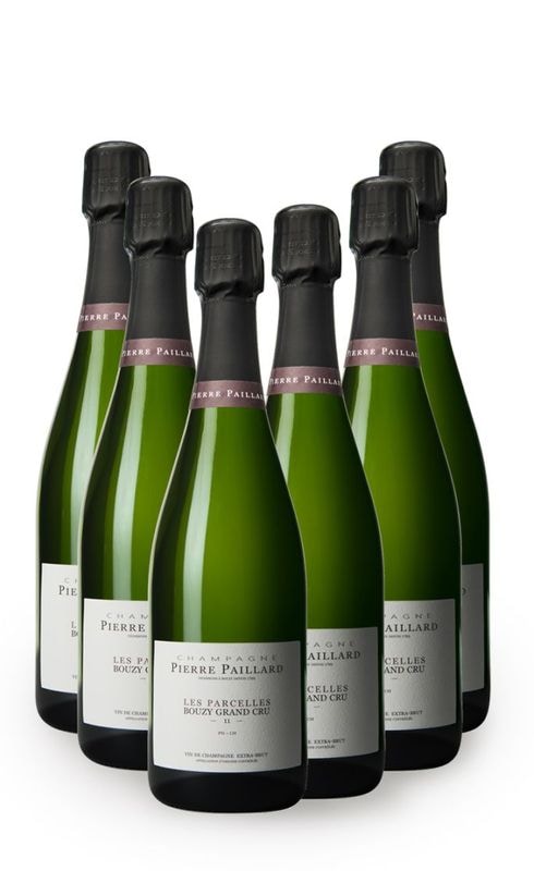 【6本まとめ買い特価】<br>ピエール・パイヤール　レ・パルセル　NV